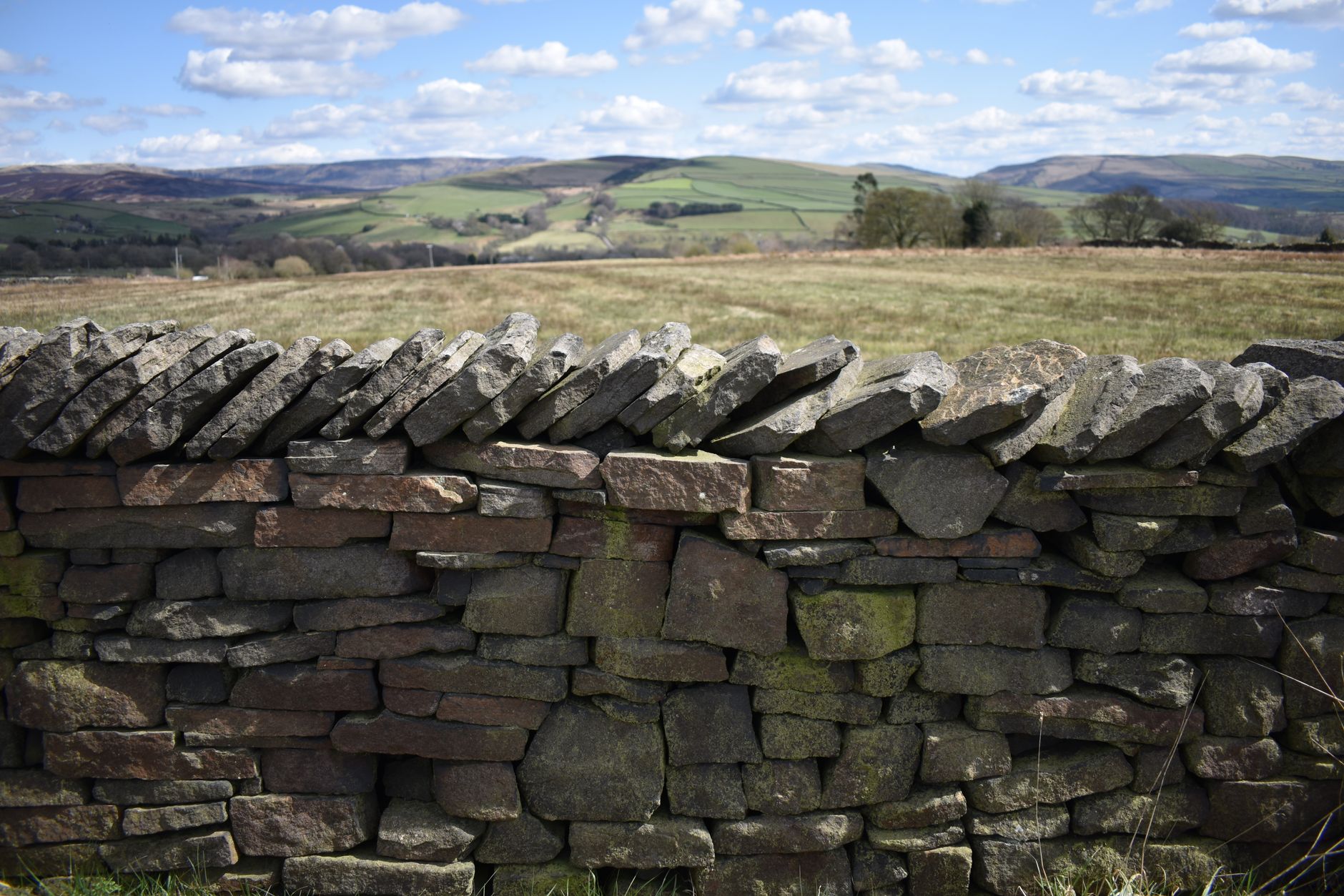 Hadrian's Wall Path in April, stretching across the Whin Sill crags in early spring morning light