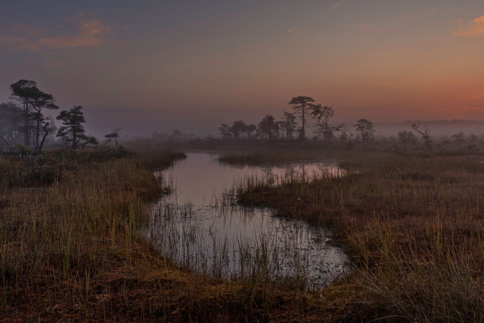 Peat Bogs and Why Experienced Hikers Have Learned to Love Them