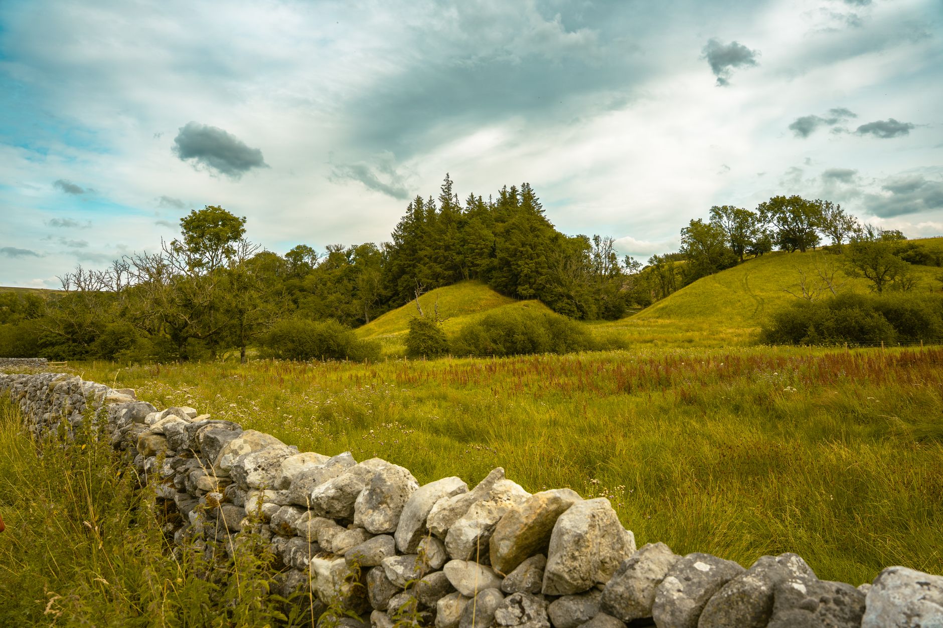 Dry stone wall dividing moorland fields, a key feature of the hill farming and walking landscape