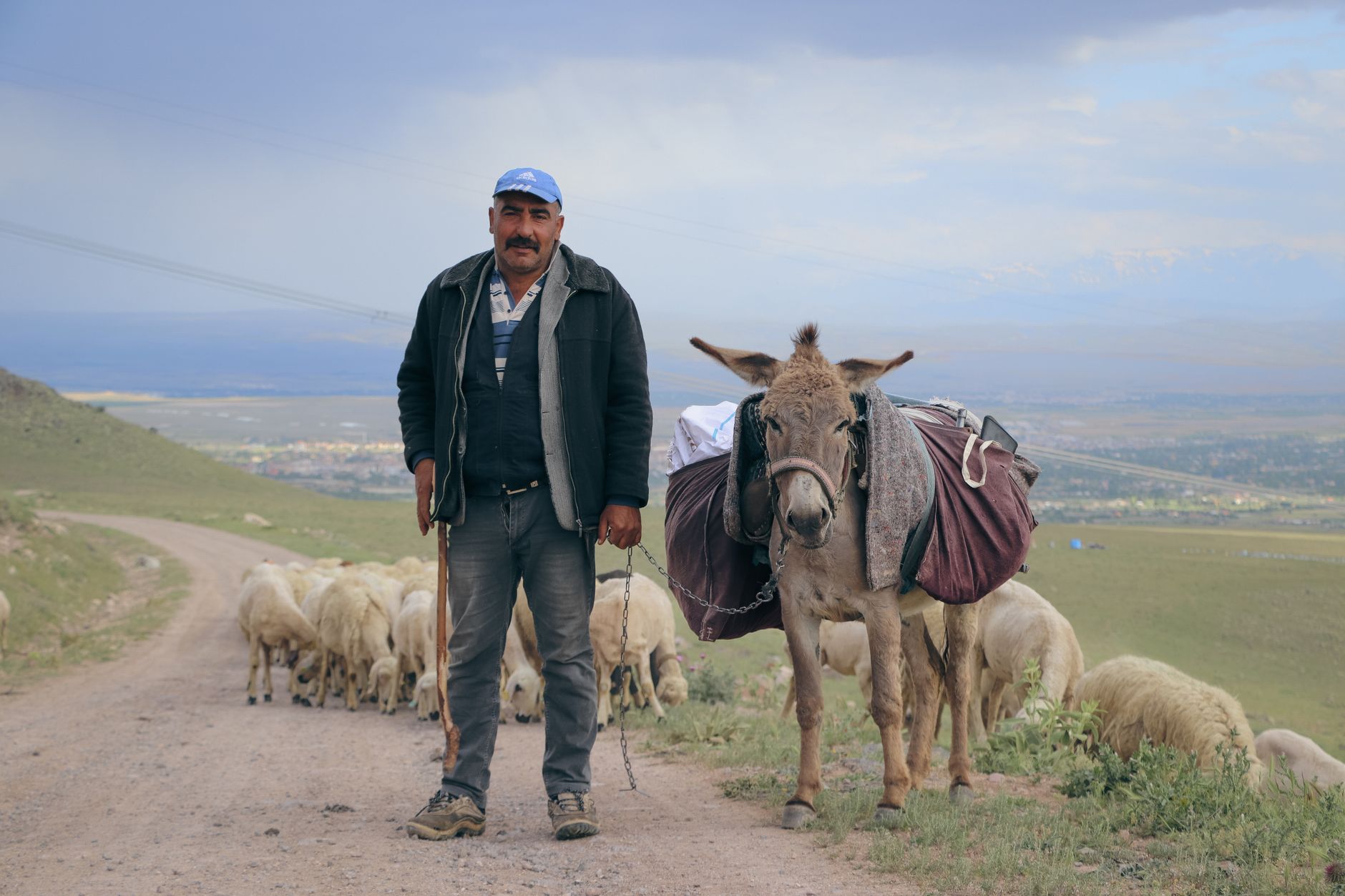 Hill Farming and Walking: Understanding the Working Upland Landscape